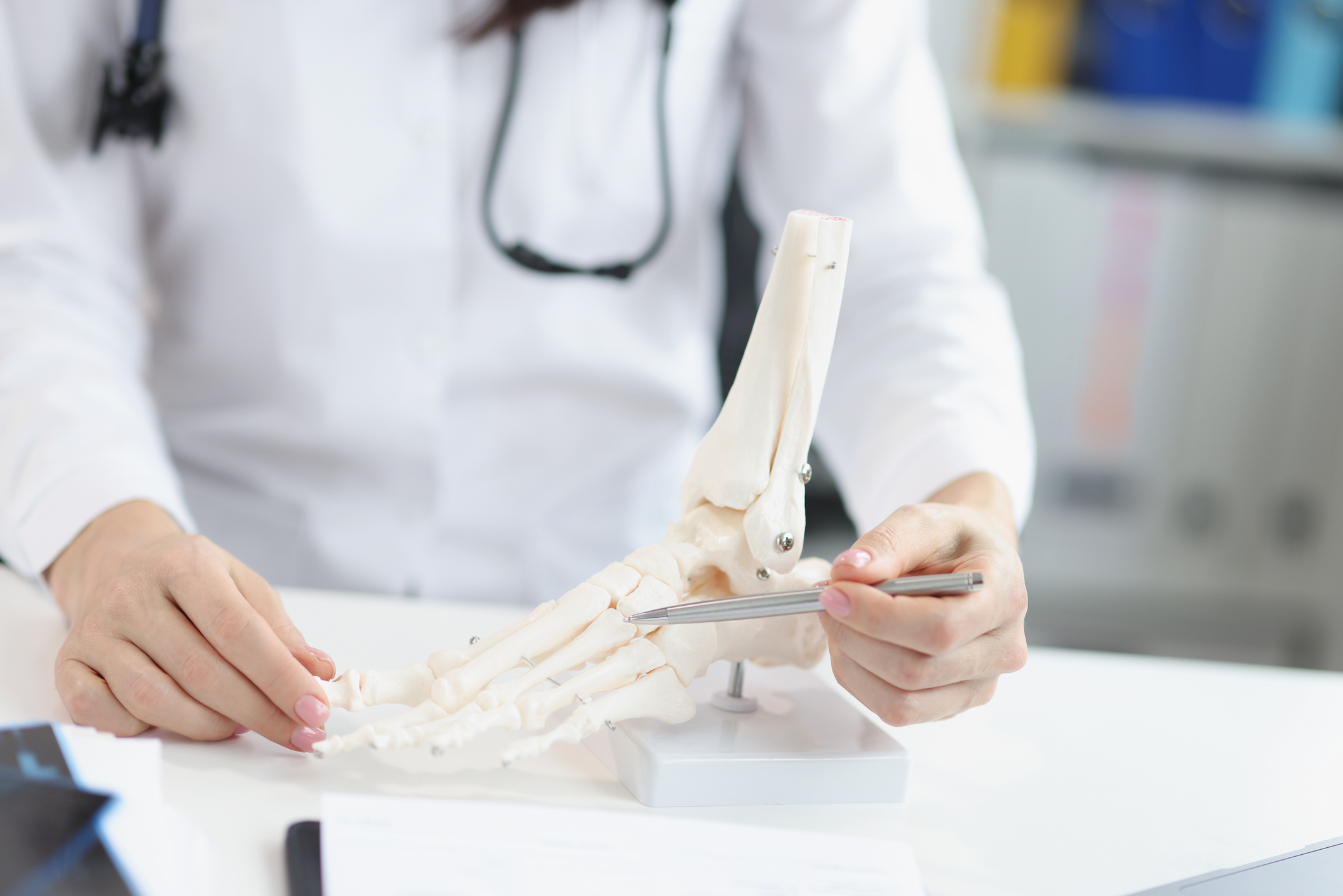 Podiatrist examining a foot anatomy model